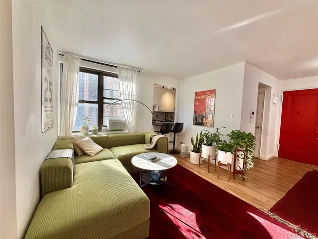 a living room with furniture potted plant and a window