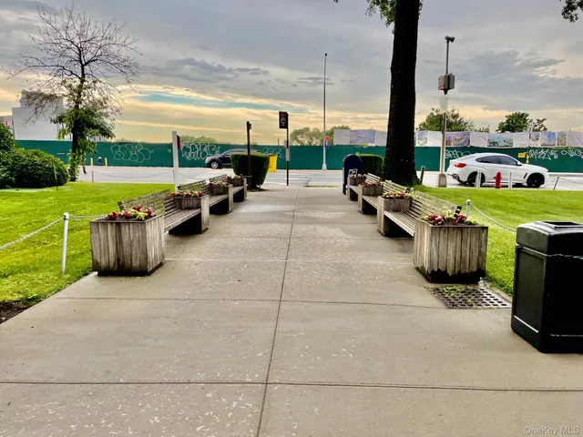 a view of a backyard with large trees