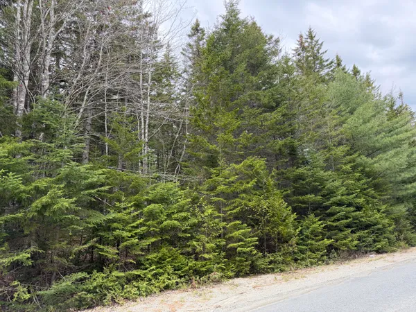 $69,900 | 2 C Gouldsboro Point Road, Gouldsboro, ME 04607