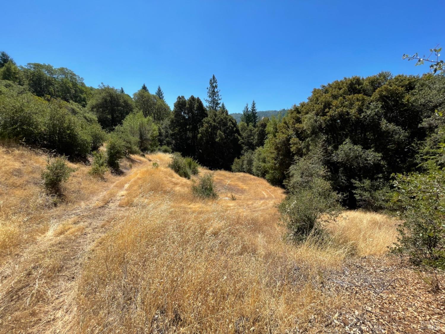 3490 Laytonville Dos Rios Road Laytonville, CA 95454 - Photo 21 of 38