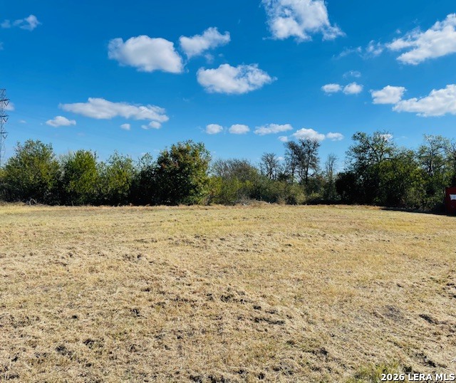 2862 Wetz Road Santa Clara, TX 78124 - Photo 35 of 37 a view of a yard