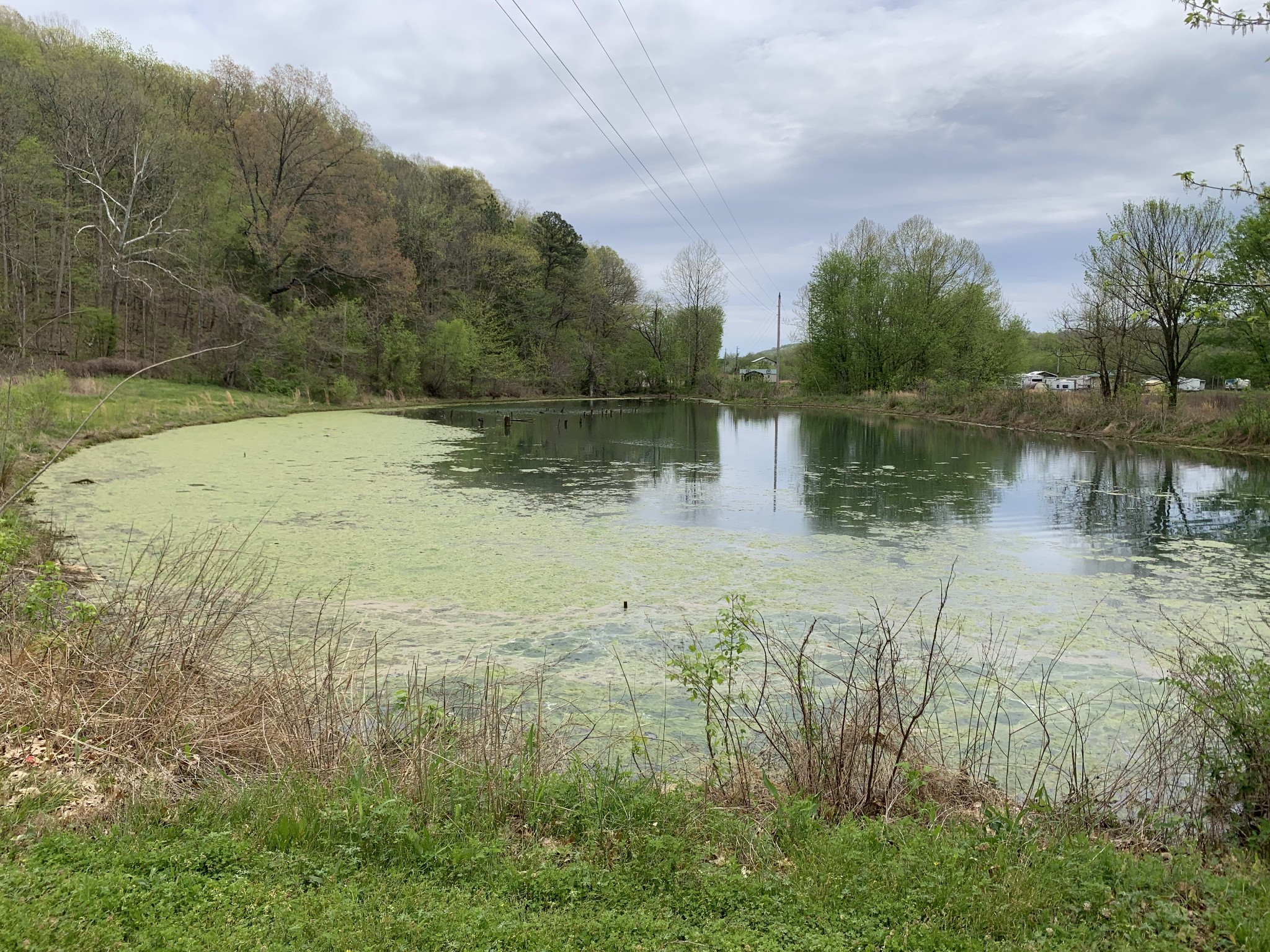 1097 Lower Lick Creek Road Linden, TN 37096 - Photo 34 of 45 a view of lake