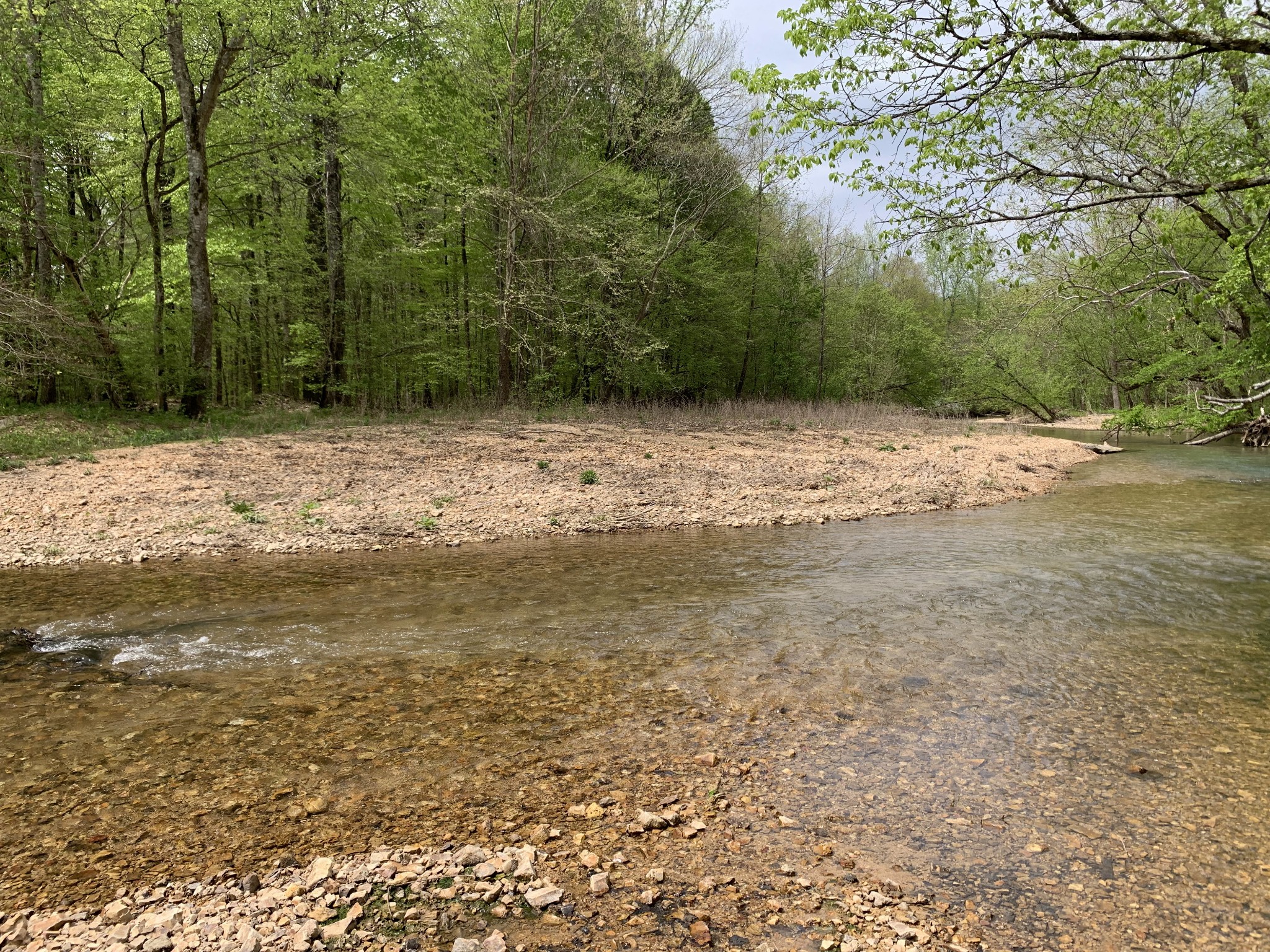 1097 Lower Lick Creek Road Linden, TN 37096 - Photo 37 of 45