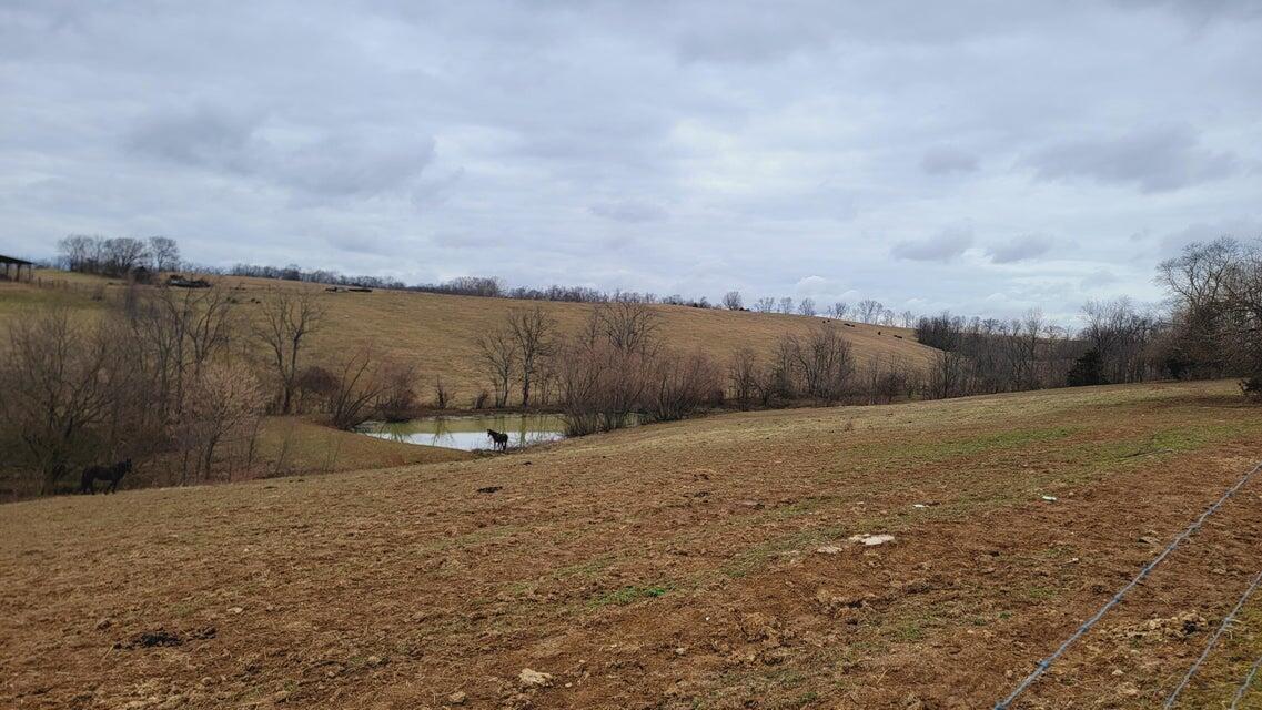 572 Butler Branch Road Flemingsburg, KY 41041 - Photo 26 of 34 572 Horse Pasture