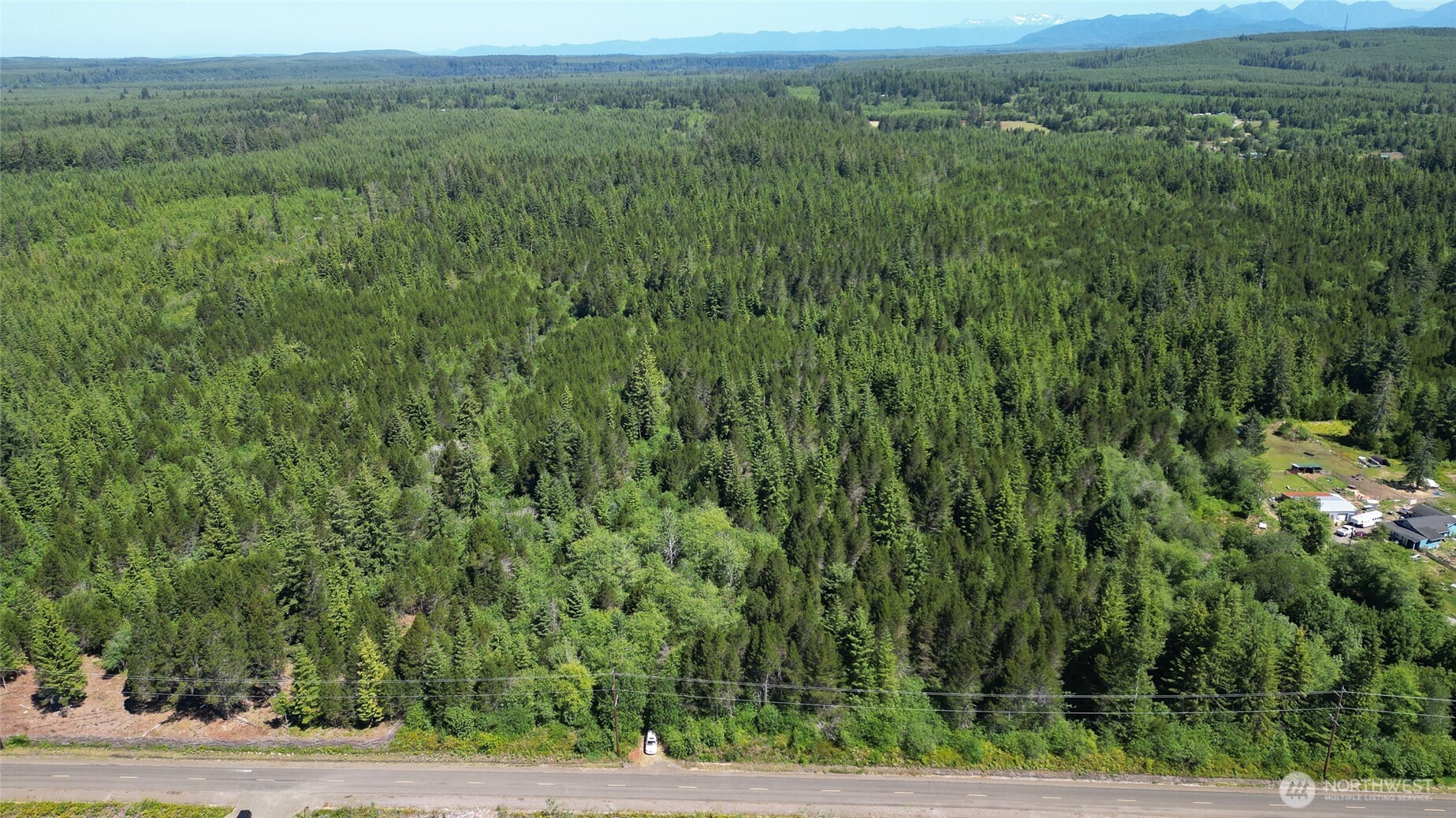 256 Walker Road Hoquiam, WA 98550 - Photo 14 of 19 a view of a lush green forest with lush green forest