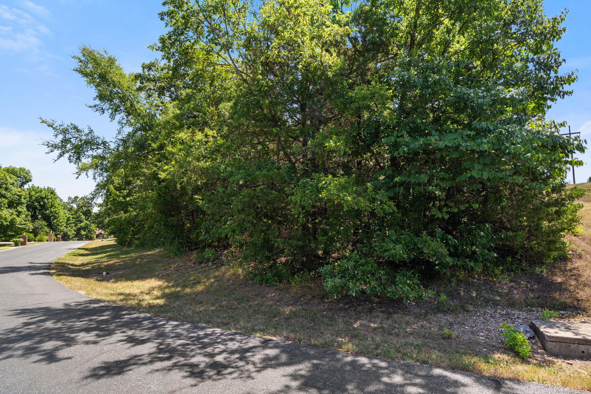 Lot 30 Crossing Drive Reeds Spring, MO 65737 - Photo 6 of 56 Lot-30-Crossing-Dr-Ozark-Build-Site