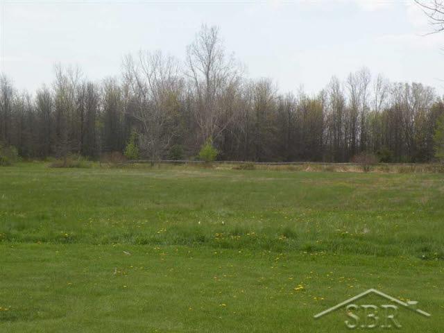 17070 Swan Creek Road Hemlock, MI 48626 - Photo 11 of 12 20091735-10.JPG
