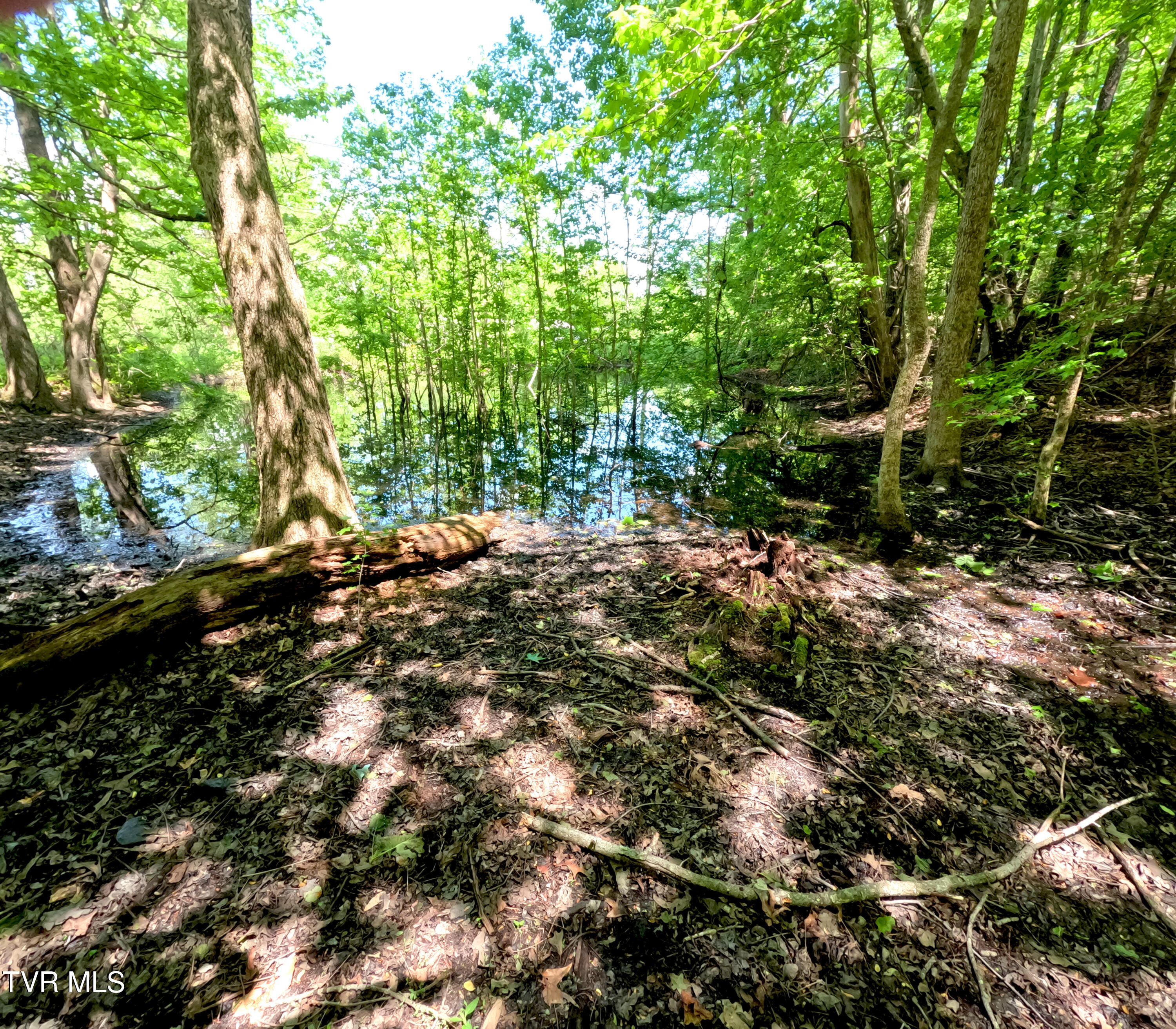 0 South Water Fork Road, Unit 11 Greeneville, TN 37743 - Photo 3 of 16 Pond 1