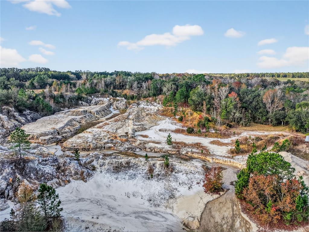 34934 Thrill Hill Road Eustis, FL 32736 - Photo 6 of 7 a view of a yard with wooden fence