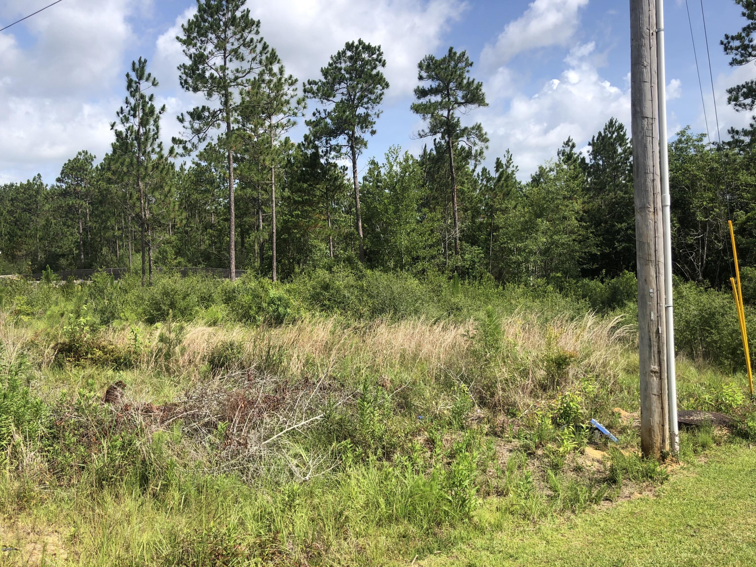 Lot 98 East Ridge Drive Saucier, MS 39574 - Photo 1 of 2 Lot 98