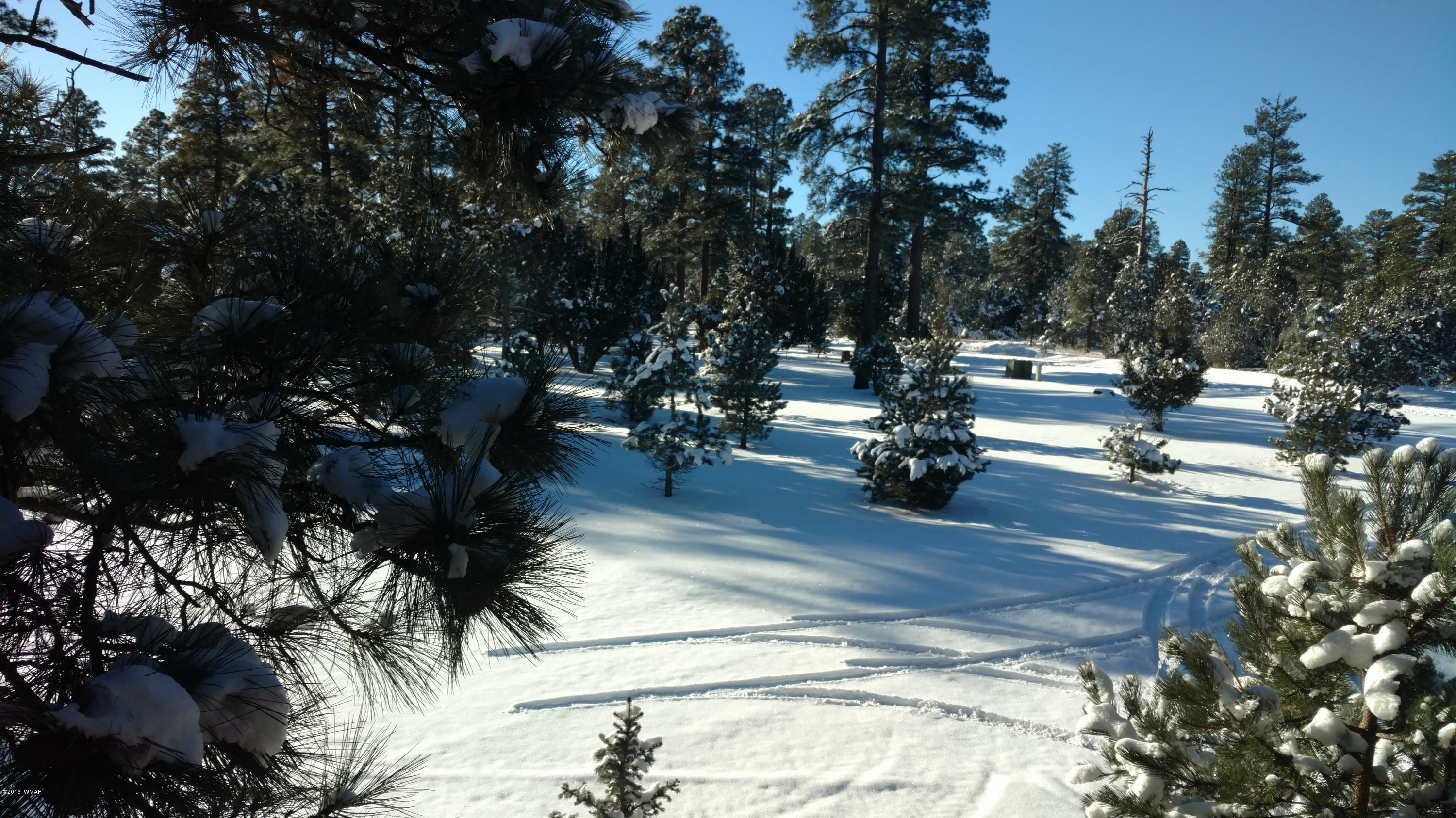 2024 Christmas Pine Road Overgaard, AZ 85933 - Photo 5 of 48 a view of a park with large trees
