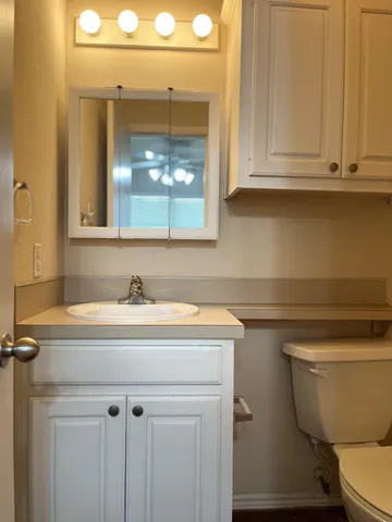 a bathroom with a sink a toilet and mirror