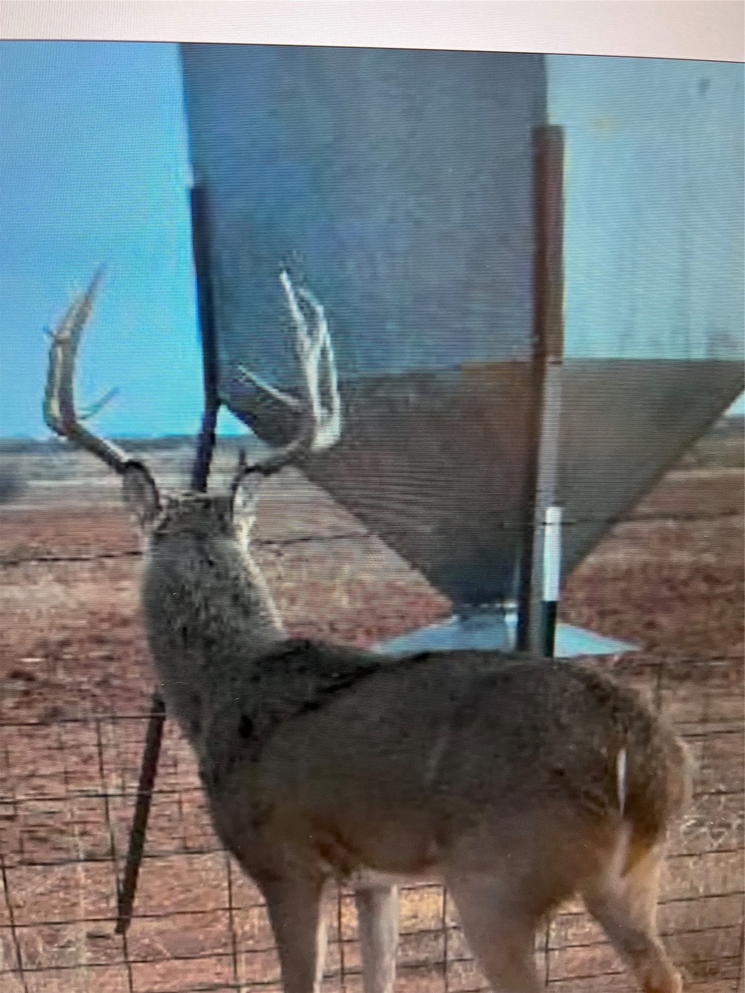 Nka Buckle L Road Childress, TX 79201 - Photo 2 of 20