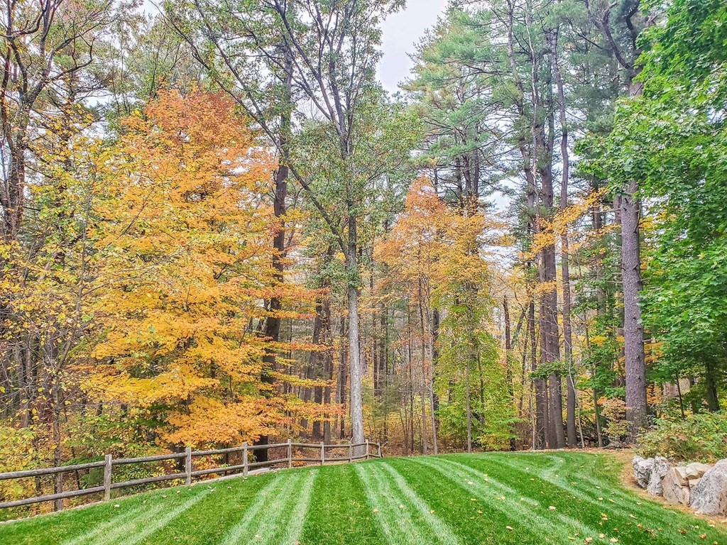 611 Springs Road Bedford, MA 01730 - Photo 42 of 42 Gallery Image 42