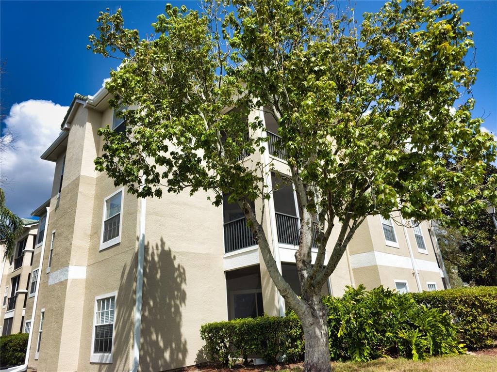 5168 Northridge Road, Unit 312 Sarasota, FL 34238 - Photo 1 of 1 front view of a house with a tree