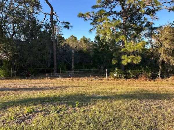 a view of a yard with a tree