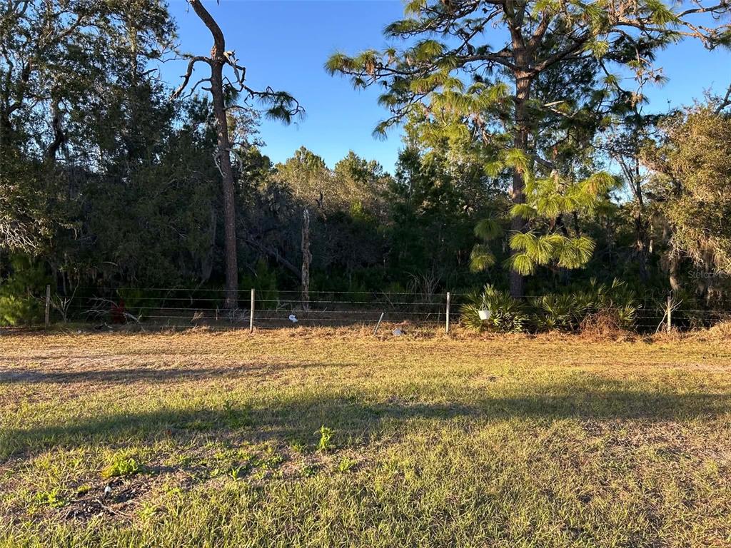 2612 Harmonia Hammock Road Harmony, FL 34773 - Photo 14 of 17 a view of a yard with a tree