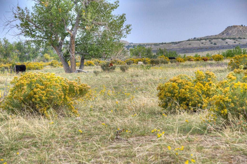 3550 Verde Road Pueblo, CO 81004 - Photo 4 of 59