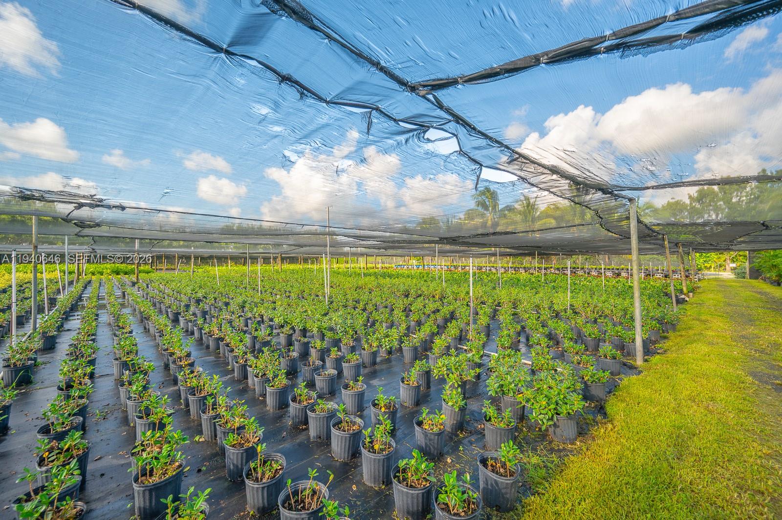 20750 Southwest 256th Street Homestead, FL 33031 - Photo 17 of 57