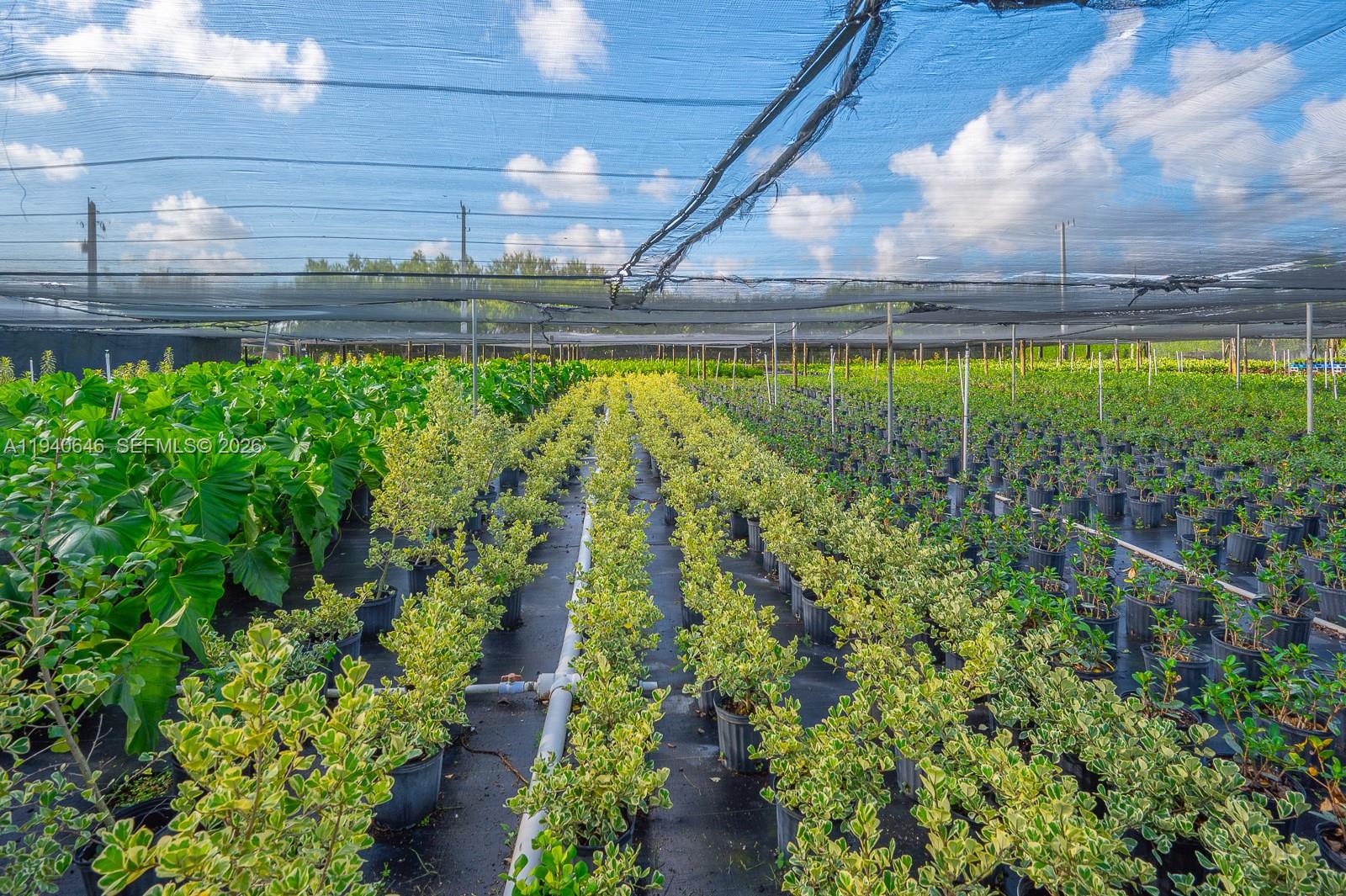 20750 Southwest 256th Street Homestead, FL 33031 - Photo 18 of 57