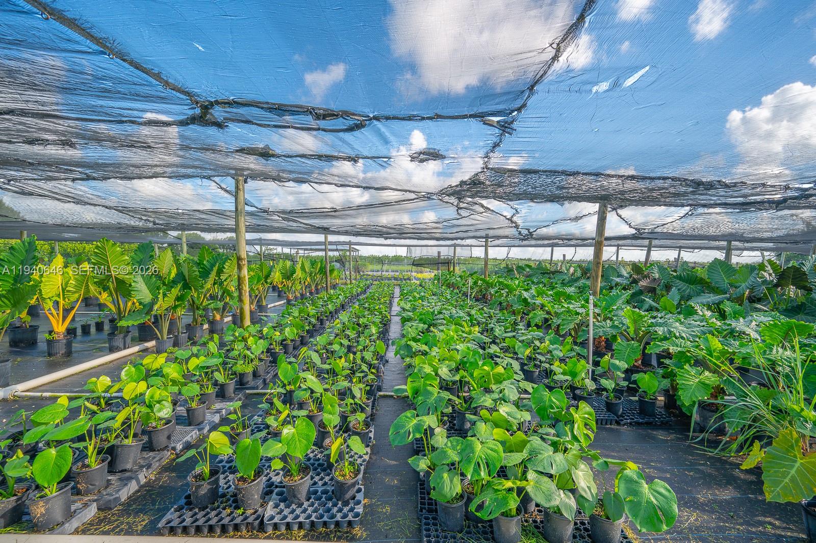 20750 Southwest 256th Street Homestead, FL 33031 - Photo 19 of 57