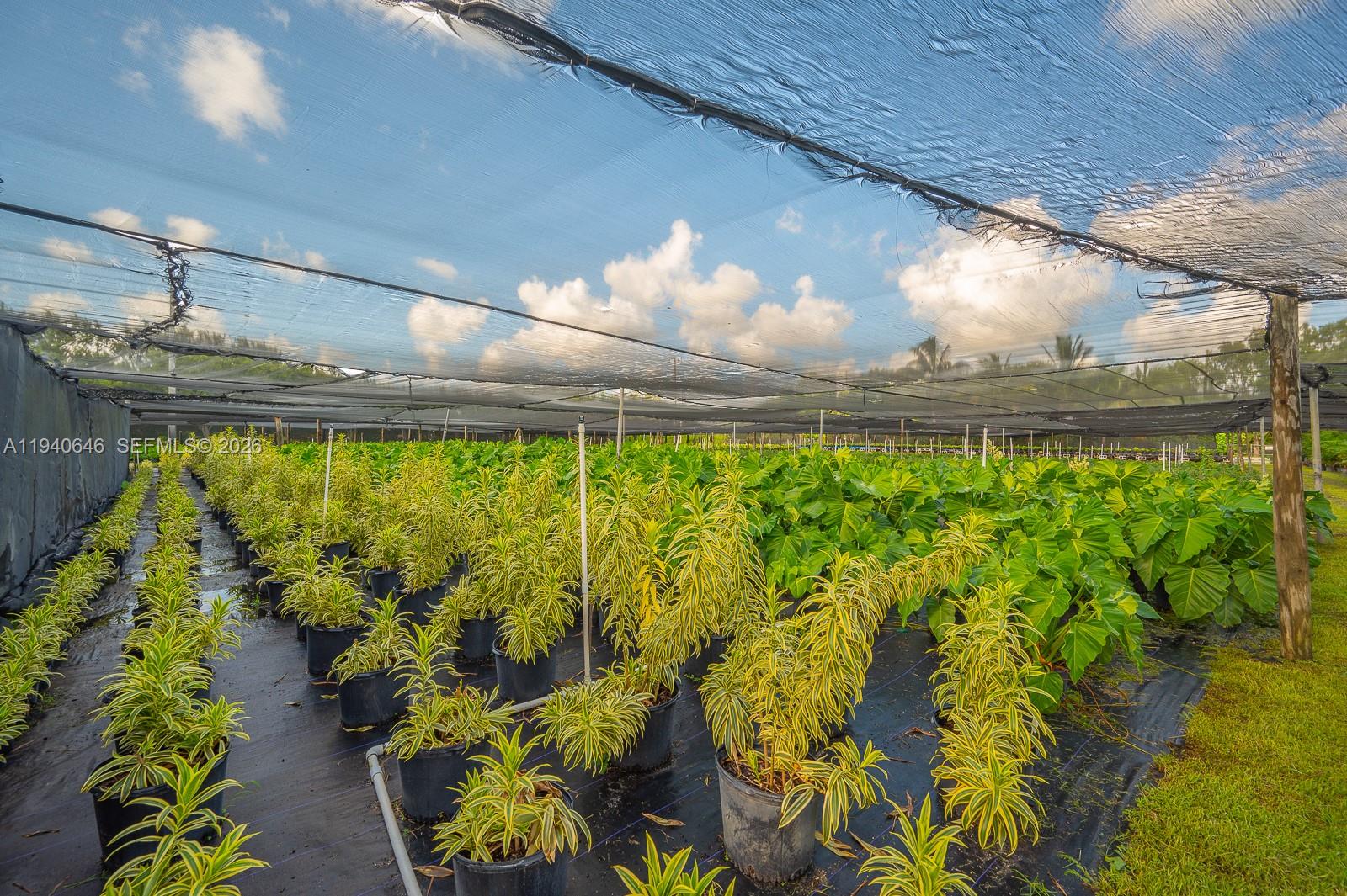 20750 Southwest 256th Street Homestead, FL 33031 - Photo 21 of 57