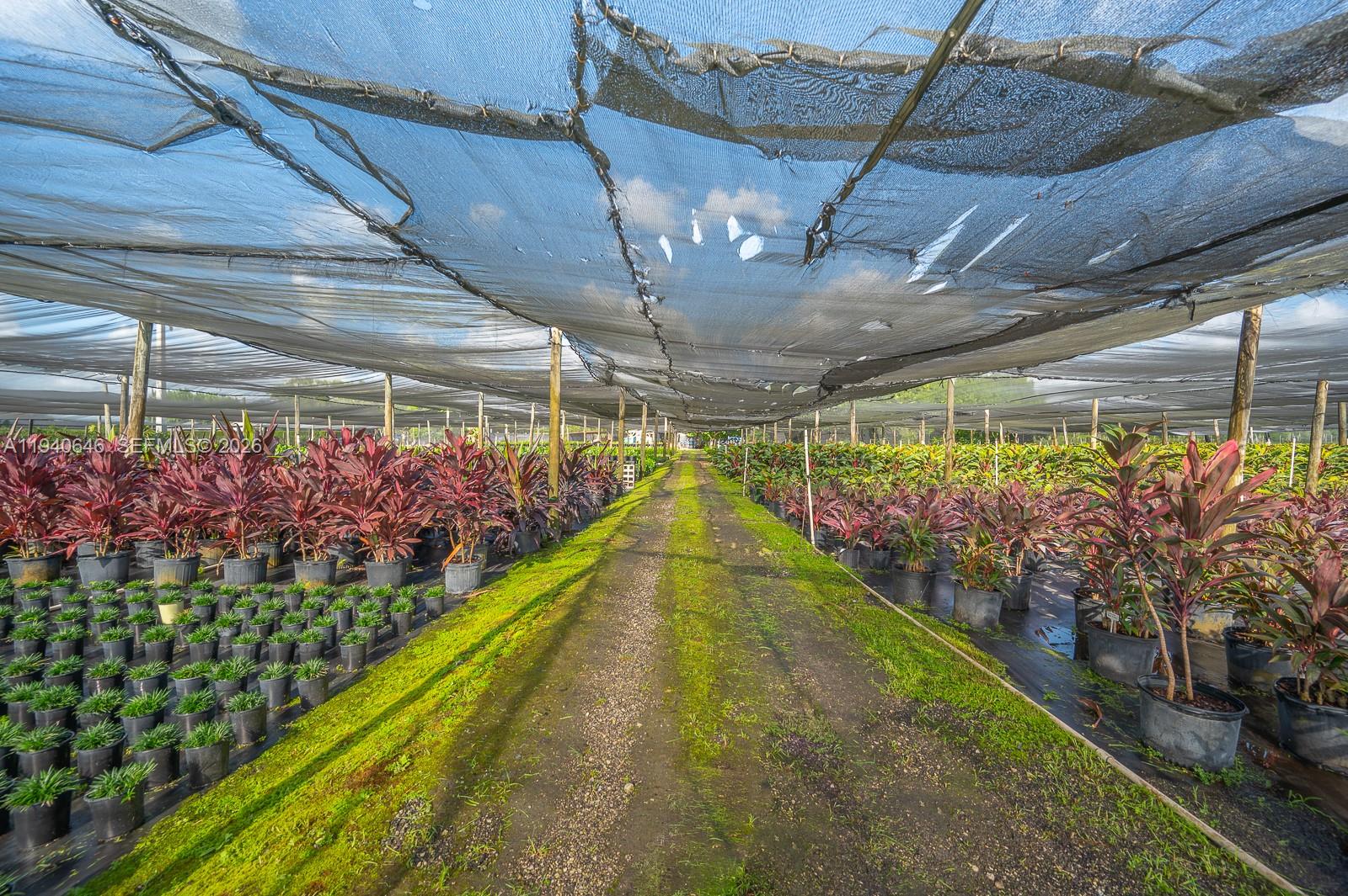 20750 Southwest 256th Street Homestead, FL 33031 - Photo 31 of 57