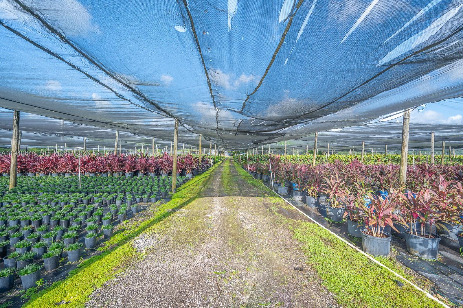 20750 Southwest 256th Street Homestead, FL 33031 - Photo 32 of 57