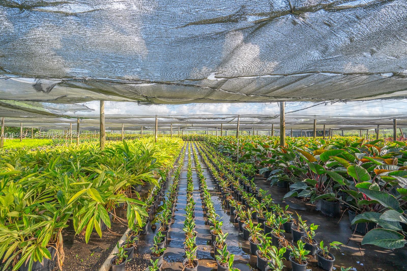 20750 Southwest 256th Street Homestead, FL 33031 - Photo 33 of 57