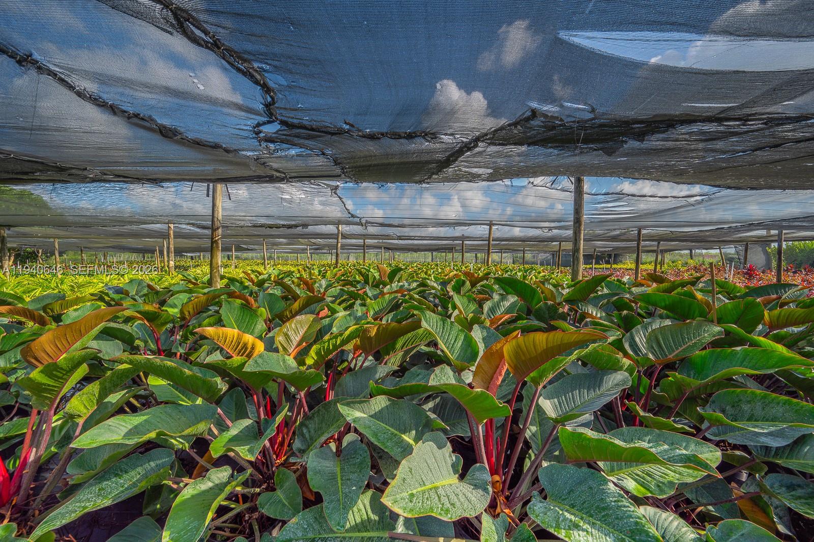 20750 Southwest 256th Street Homestead, FL 33031 - Photo 35 of 57