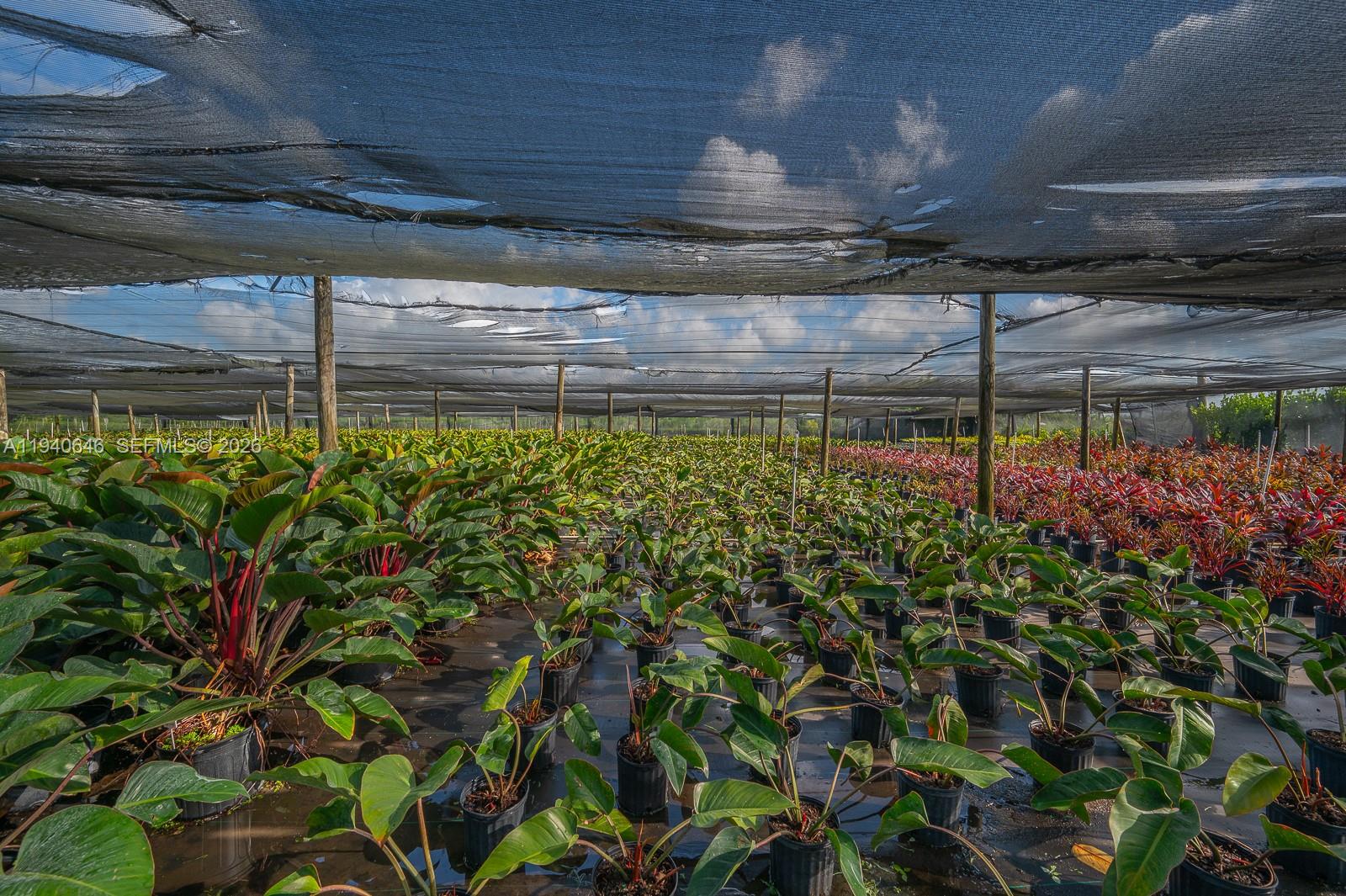 20750 Southwest 256th Street Homestead, FL 33031 - Photo 37 of 57