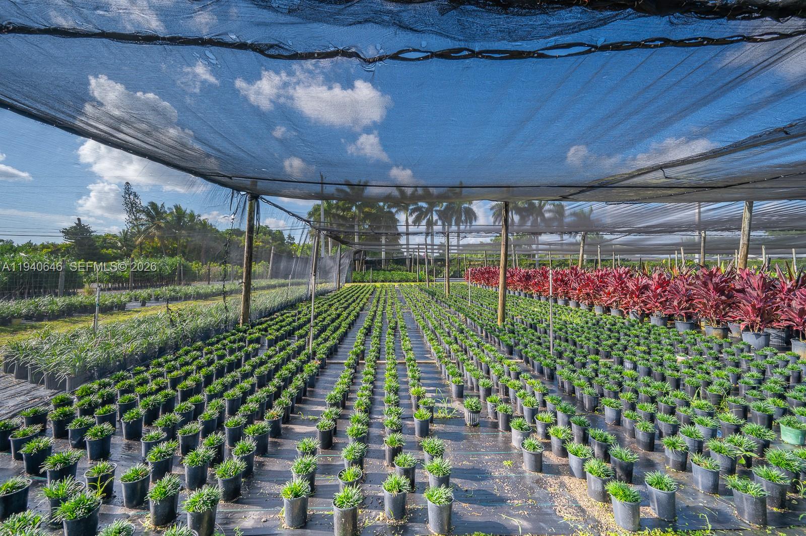 20750 Southwest 256th Street Homestead, FL 33031 - Photo 38 of 57