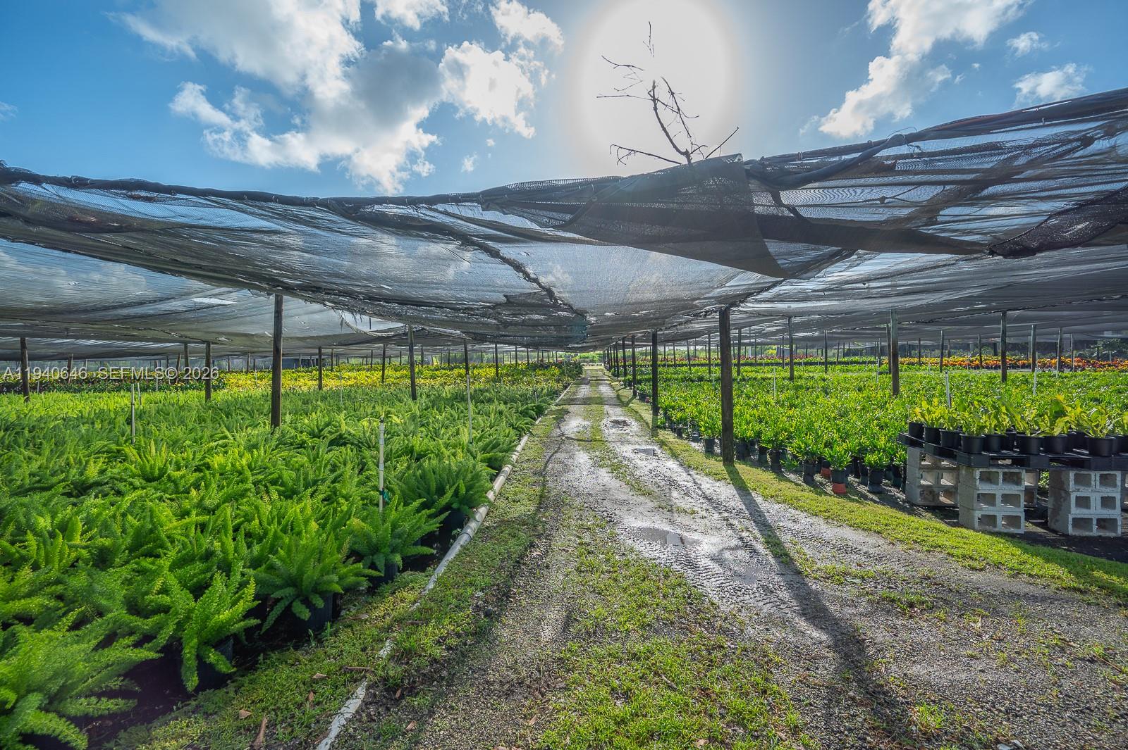 20750 Southwest 256th Street Homestead, FL 33031 - Photo 47 of 57