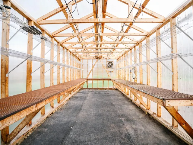 $649,999 | 6 Forest Hill Lane, Swanville, MN 56382