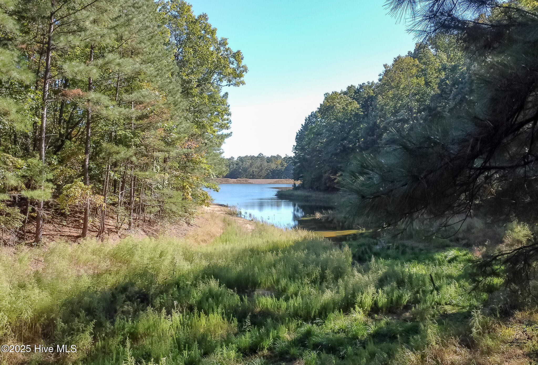 103 Palomino Road Carthage, NC 28327 - Photo 62 of 69 Dam was recently repaired so the water will fill up over the greenery