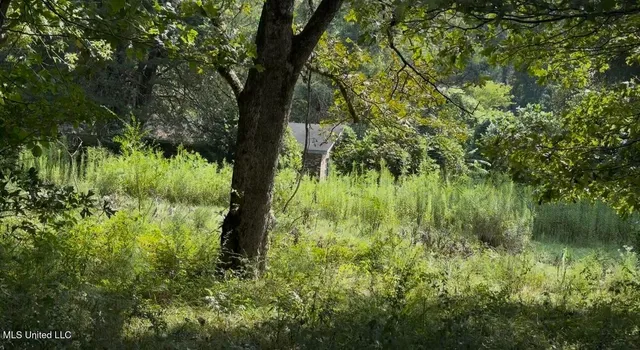 $15,000 | 30 Hibiscus Lane, Natchez, MS 39120