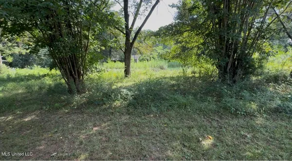 $15,000 | 30 Hibiscus Lane, Natchez, MS 39120