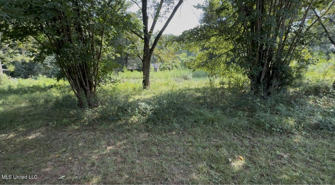 30 Hibiscus Lane Natchez, MS 39120 - Photo 2 of 3 IMG_9589