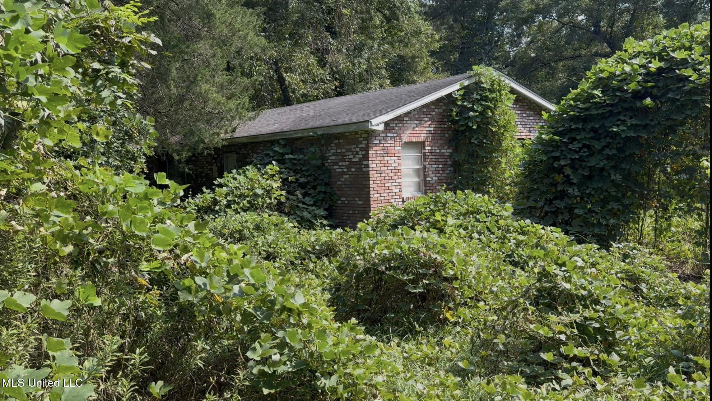30 Hibiscus Lane Natchez, MS 39120 - Photo 3 of 3 IMG_9588