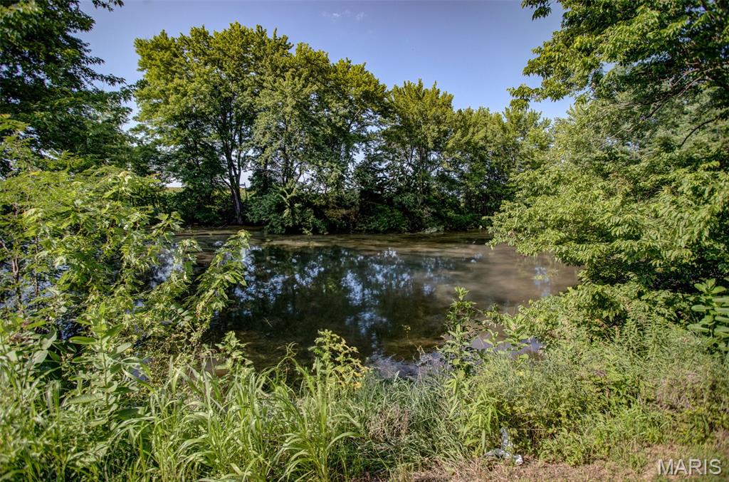6063 Seiler Road Dorsey, IL 62021 - Photo 15 of 80