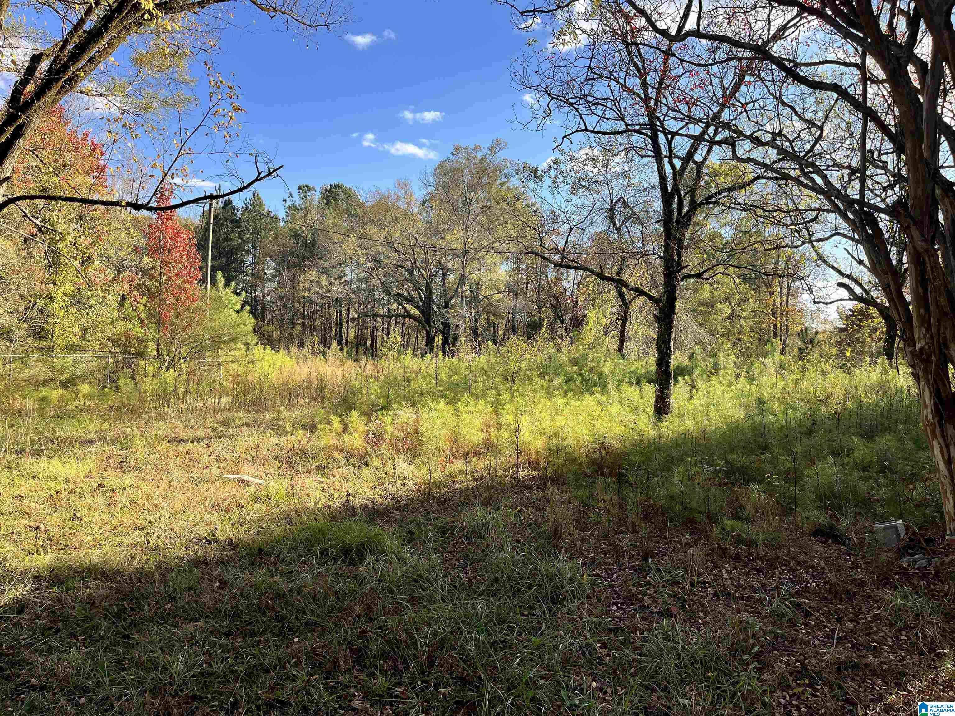 1720 Pleasant Valley Road, Unit 1 Pell City, AL 35125 - Photo 2 of 16