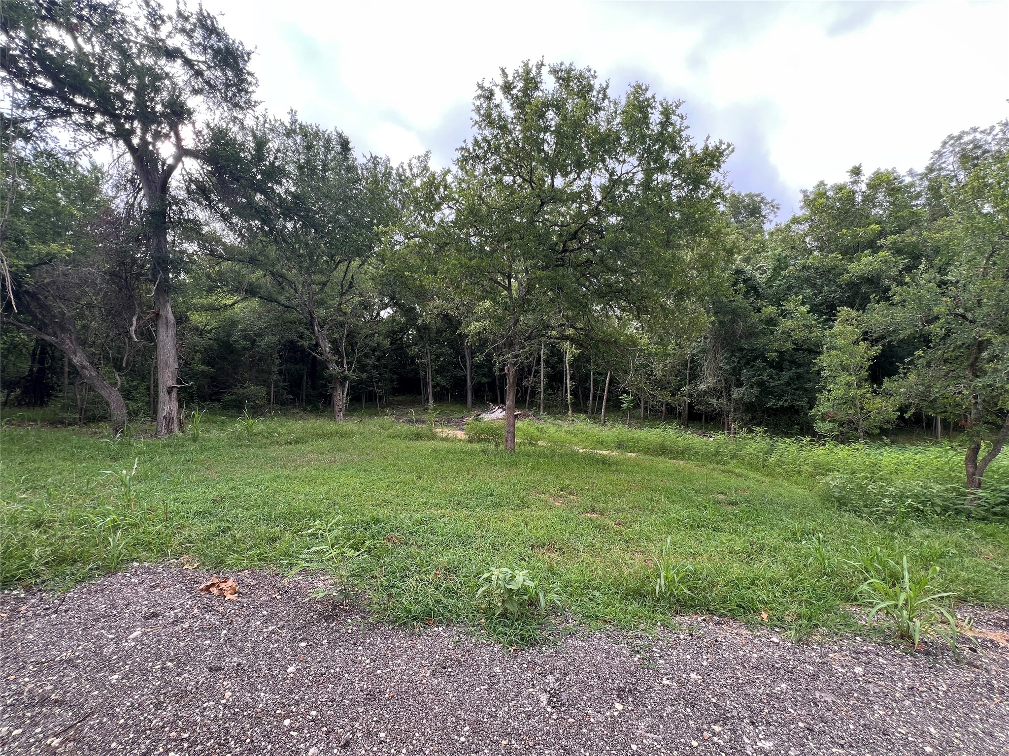 3000 Tract 2 Elgin, TX 78621 - Photo 10 of 17 View of Lot from road