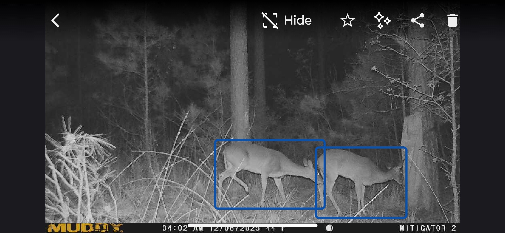 0 Timber Ranch Road Apple Springs, TX 75926 - Photo 15 of 15 Gallery Image 15
