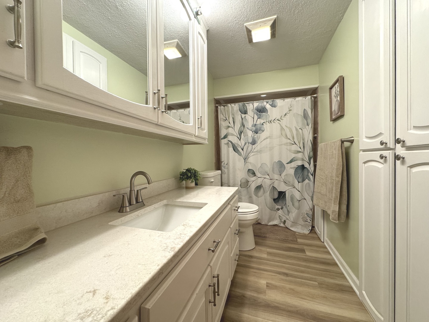 5382 South 2000W Road Chebanse, IL 60922 - Photo 25 of 54 a bathroom with double vanity sink a mirror and a shower
