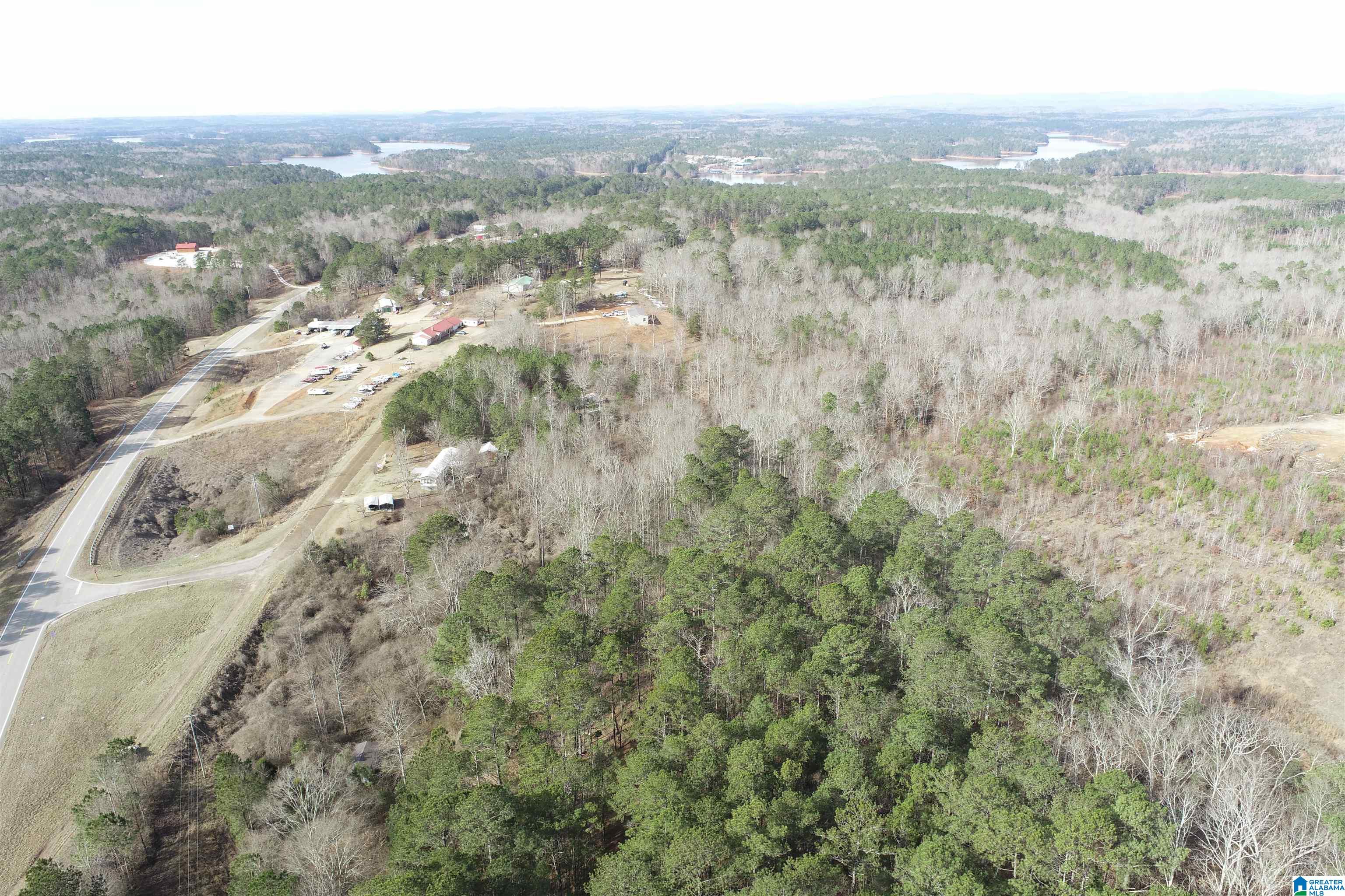 0 Highway 48 Wedowee, AL 36278 - Photo 3 of 9