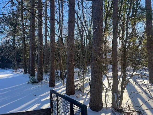 $57,500 | Archibald Lake Road, Unit 2, Lakewood, WI 54138