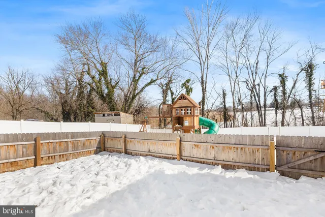 a view of backyard with large trees and a bench