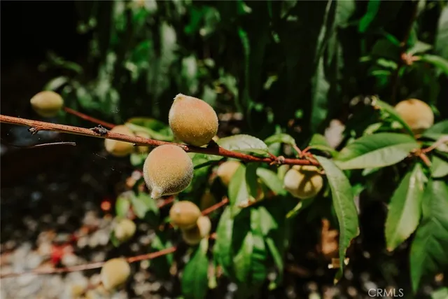 $1,059,000 | 601 North Casa Blanca Drive, Fullerton, CA 92832