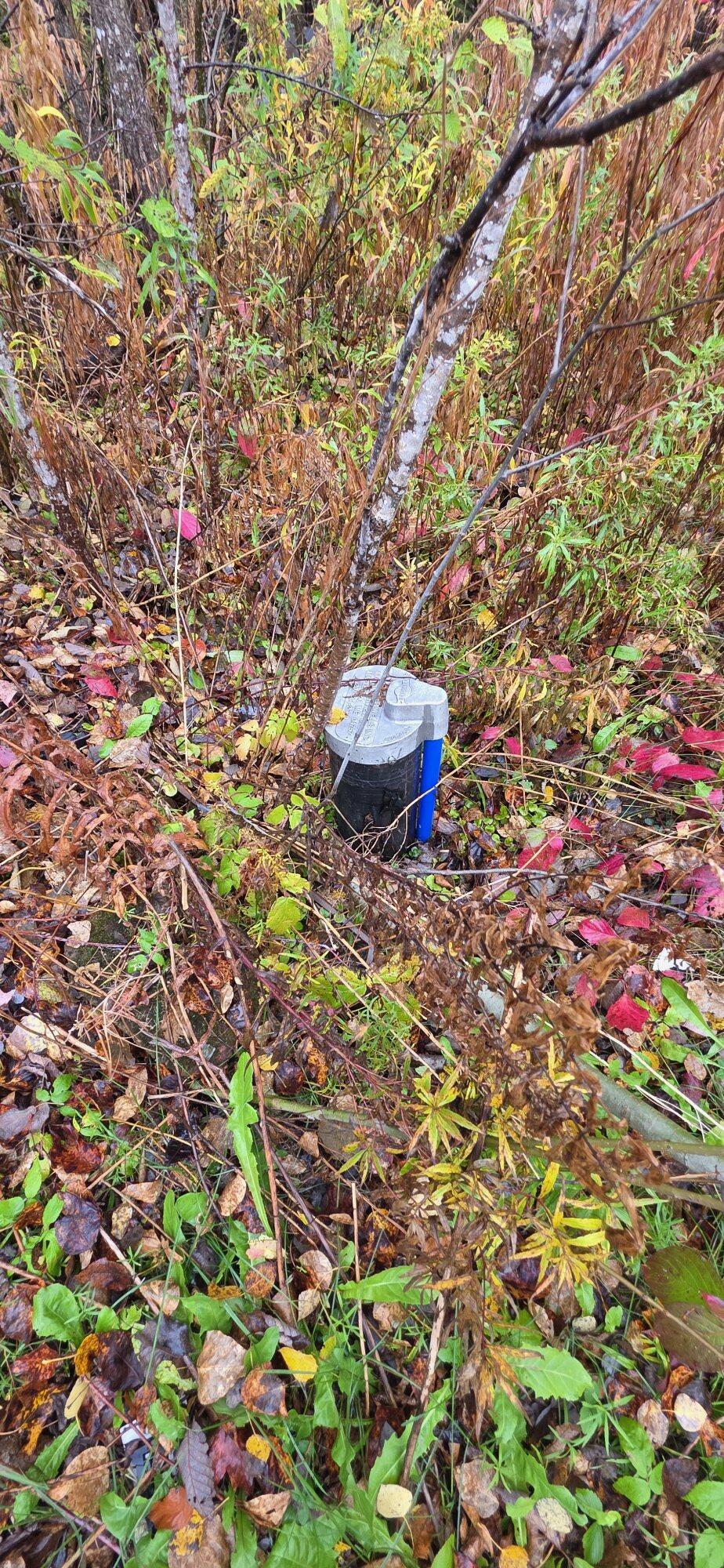 194 Ladner Road Easton, ME 04740 - Photo 8 of 21 20251008_113055