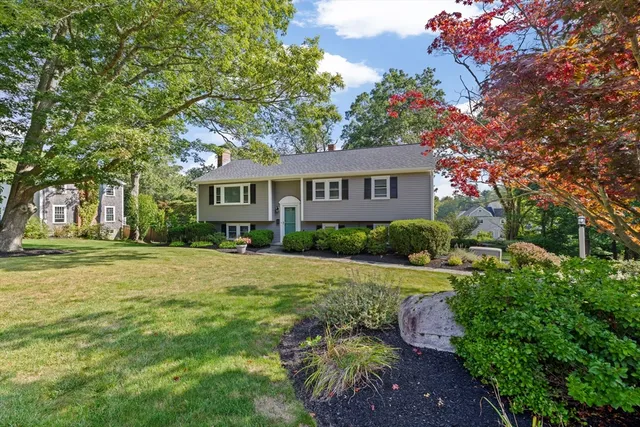 a house view with a garden space